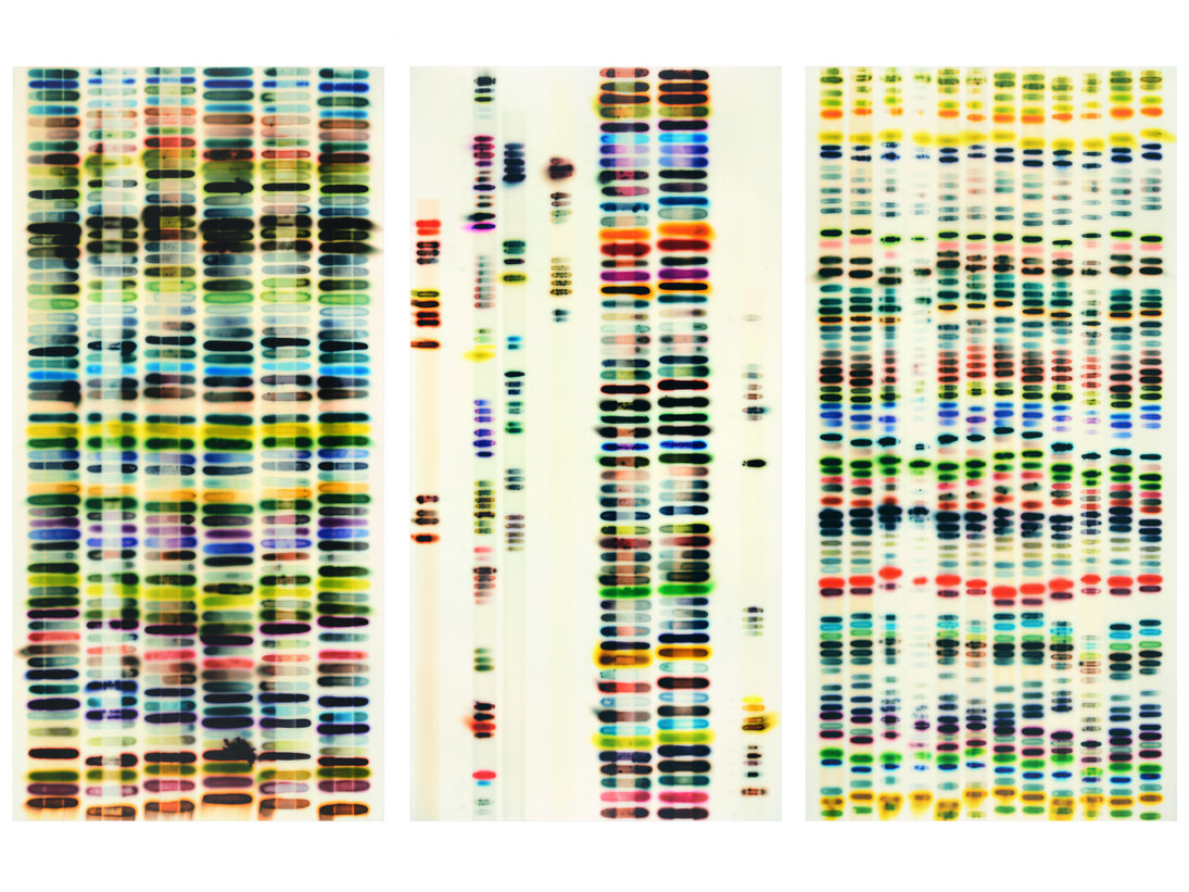 Jaq Chartier, Large Chart (triptych), 2015, Acrylic resin, stains, spray paint on wood panel, 65 x 100 inches 