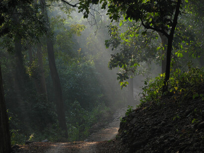  Simlipal National Park
