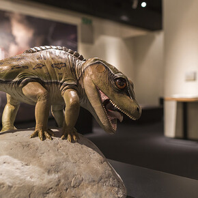 Permian Monsters. Courtesy of Florida Museum of Natural History