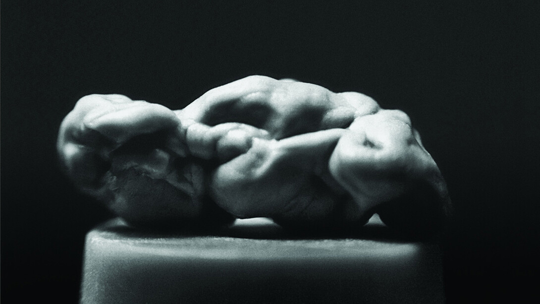 Maurizio Mercuri, Cicles, 1993-2019, foto di una gomma masticata, cm 200 x 150; courtesy l’artista