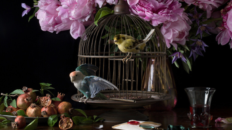 Paulette Tavormin. Courtesy of Robert Mann Gallery