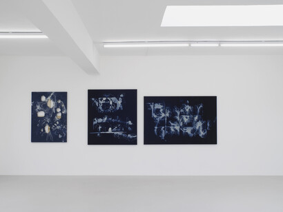 Valentina Liernur, ahh…ah… Installation view, 5 September – 4 October 2014, Campoli Presti, London, Courtesy of Campoli Presti, London / Paris  