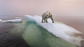 Time is running out to prevent catastrophe climate changes