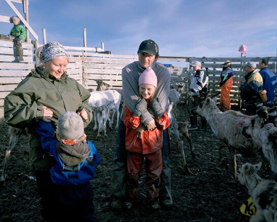 Frost. Courtesy of Canadian Museum of Nature