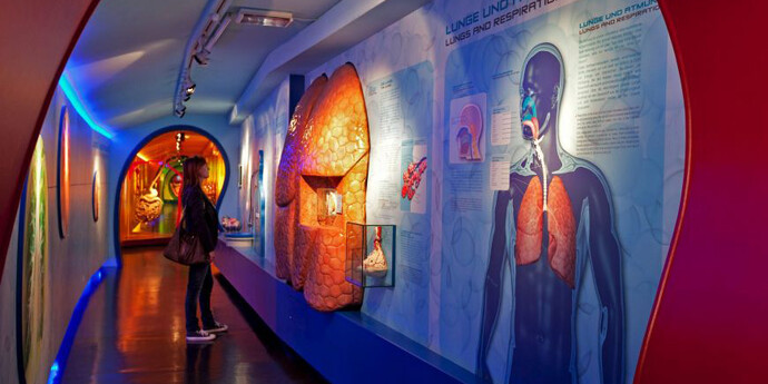 Journey into the Human Body. Courtesy of Haus der Natur 