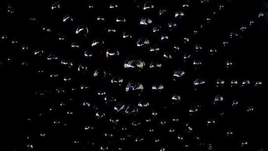 Gioni David Parra, Matterlight XX, tec.mista su tela, cm 70 x 50, 2013 - black series (dettaglio)