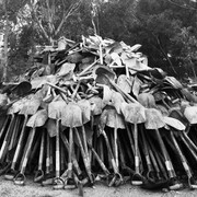 David Goldblatt. Courtesy of MCA