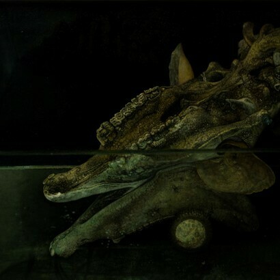 Oscar Giaconia, I-O-I-O, 2020, oil on oiled paper and nylon case, 69.5 x 97 cm, ph. Roberto Ferro. Courtesy the artist and Monitor Rome, Lisbon, Pereto