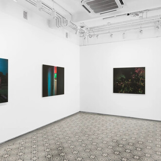 Soumya Sankar Bose, We need to talk in whispers, exhibition view. Courtesy of Experimenter