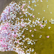 Lis Sam, Shadow (detail), 2025. Courtesy of Fremin Gallery