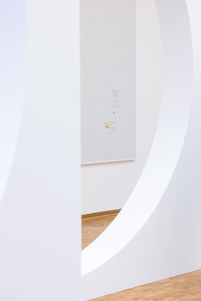 Evelyn Taocheng Wang. 2025 Wolfgang Hahn Prize, exhibition view. Courtesy of Museum Ludwig