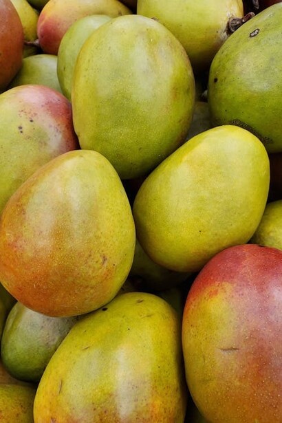Los mangos que gritan cómanme