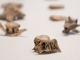 Moundbuilders. Courtesy of Penn Museum