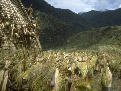 Además de la subordinación de las mujeres, la estructura social baruya establecía jerarquías entre hombres, distinguiendo a los llamados “Grandes Hombres” por herencia o mérito personal
