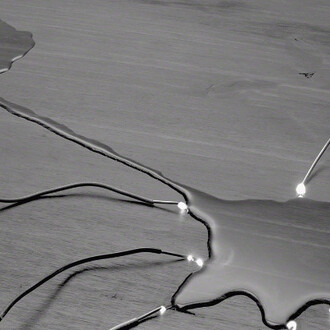 Electricities by David Goldes. Courtesy of Damiani