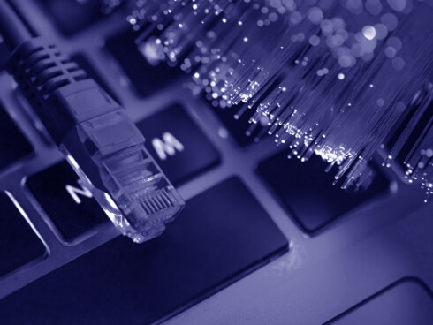 If you suspect your data might have been compromised in a breach, take action immediately