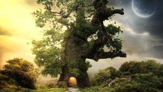 La quercia incantata