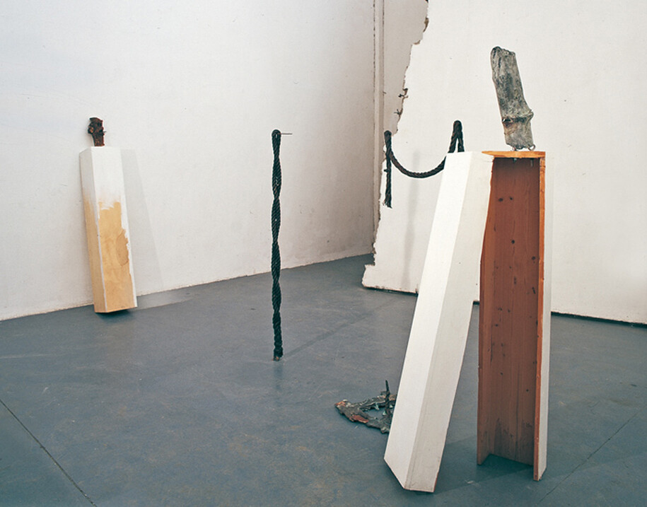 Federico De Leonardis, Linea IV, legno, bronzo, tralcio di vite, filo di ferro, installazione ambientale, 2008 (2)