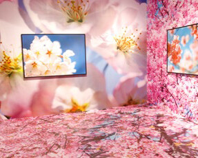 Laboratory for Chinese Contemporary Photography. Courtesy of Mori Art Museum 
