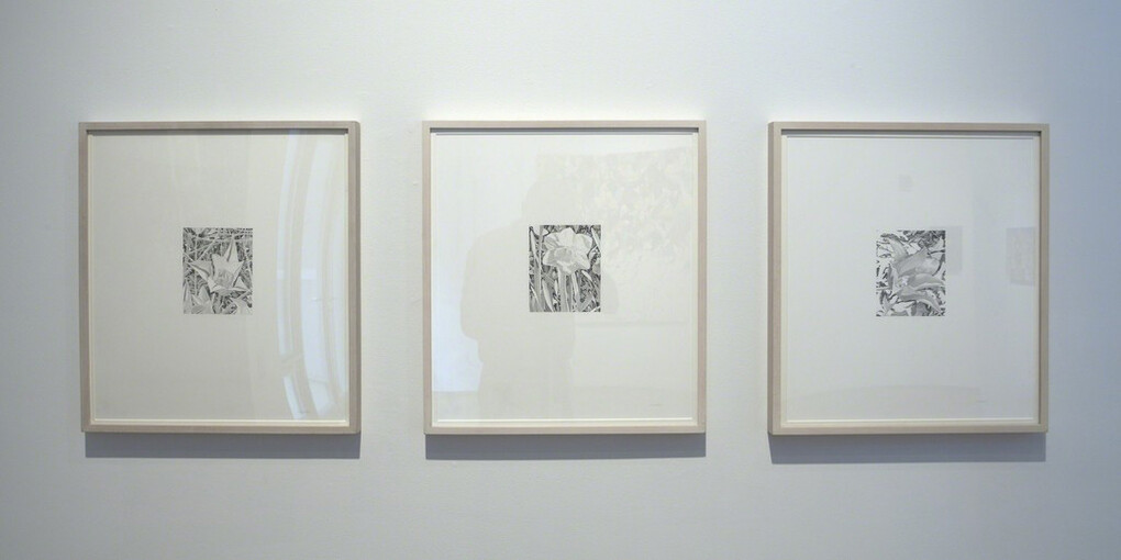 Summer Gardens, Exhibition view. Courtesy of Nancy Hoffman