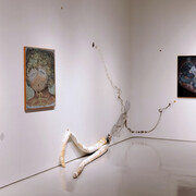 Marina Daiez, Ontogenia plantihumana, exhibition view. Courtesy of Nora Fisch Gallery