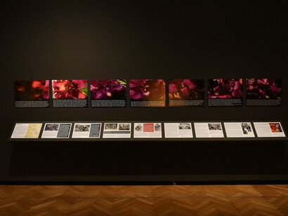 Leandro Katz, The night and the words, exhibition view. Courtesy of Museo Nacional de Bellas Artes