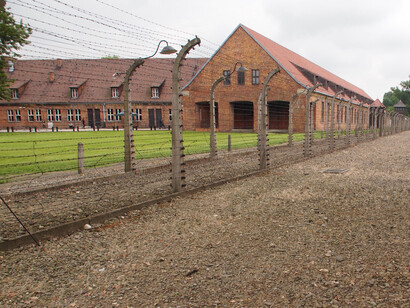O campo de concentração de Auschwitz consistia em Auschwitz I (o campo original), Auschwitz II–. Birkenau (uma combinação de campo de concentração/extermínio), Auschwitz III – Monowitz (um campo de trabalho forçado para uma fábrica da IG Farben) e 45 campos satélites