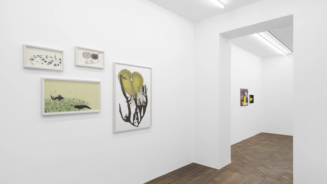 Melanie Smith, An age of liberty when the world had been possible, exhibition view. Courtesy of Galerie Peter Kilchmann