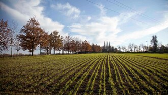 La carenza di cibo in Europa si rifletterà presto nei Paesi importatori del Sud del mondo