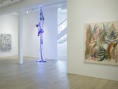Botánica, Exhibition view. Courtesy of Berggruen Gallery