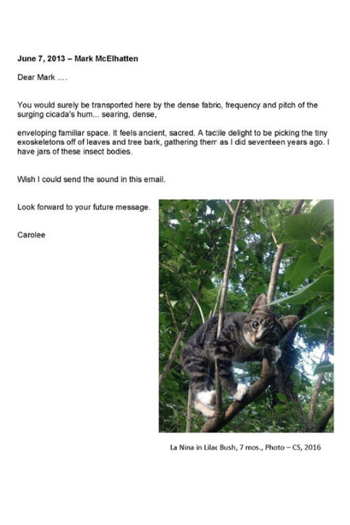 Tooth and Paw. Courtesy of P.P.O.W