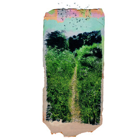 Our paths through flowers amend Final email