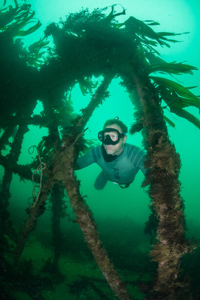 Freediving in the shipwreck of the Louis Sheid off South Devon in England by Dan Bolt

