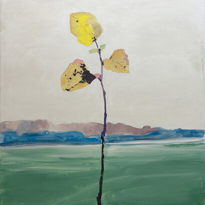 Koen van den Broek. Courtesy of Philipp von Rosen Galerie