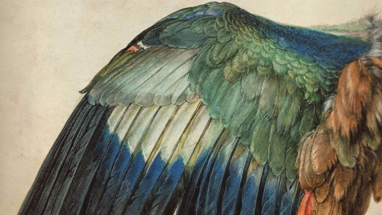 Albrecht Dürer. Courtesy of Albertina