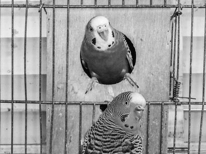 Encerrarte con alguien sin la posibilidad de un respiro en otros espacios como el ocio o la vida social puede cambiar y determinar una relación