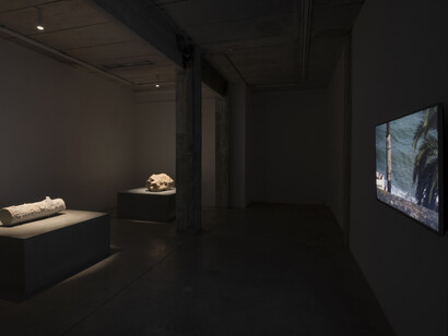 Perejaume, Madera adorada en piedra / piedra adorada en madera (2021). Courtesy Nogueras Blanchard, Barcelona/Madrid. Photography Roberto Ruiz