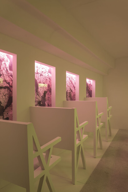Brett Williams, Untitled (14), 12x8x8 (interior view, left)
