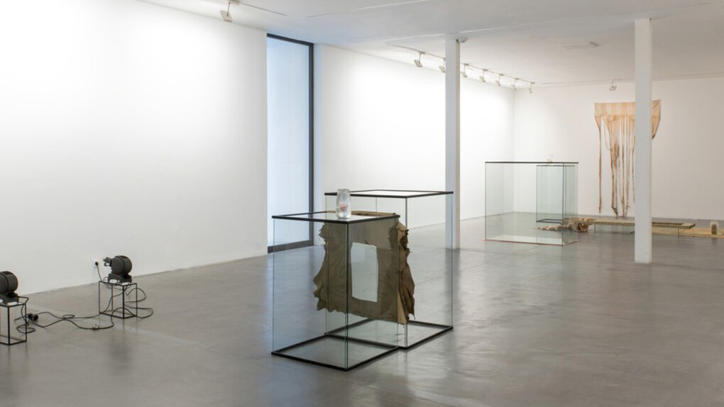 Edith Dekyndt. Courtesy of VNH Gallery 