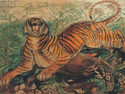 Antonio Ligabue, Tigre reale, 1941, china e pastelli a cera su carta intestata dell’Ospedale Psichiatrico San Lazzaro di Reggio Emilia, 36x50 cm