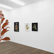 Ishita Chakraborty, East is everywhere, exhibition view. Courtesy of Galerie Peter Kilchmann