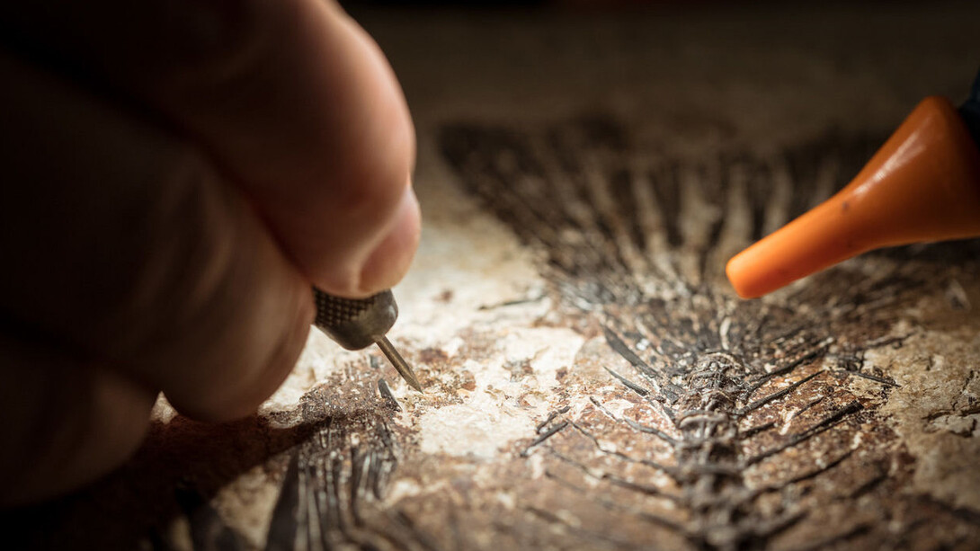 MCDonald’s Fossil Preparation Lab. Courtesy of Field Museum