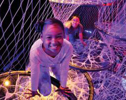 Your Brain. Courtesy of The Franklin Institute