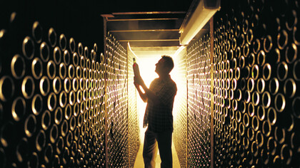 Selecting a bottle of wine, Adelaide, Australia