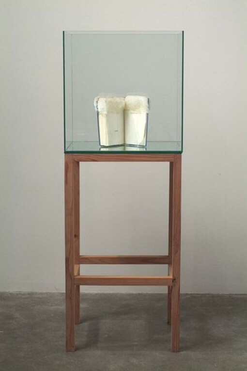 Belonging. Courtesy of Hammer Museum