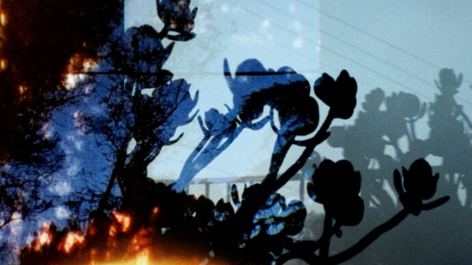 Augusta Wood. Courtesy of Denk Gallery