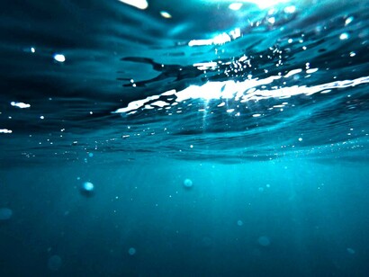 Si la planète terre est composée de vie c’est grâce aux nombreuses causes et conséquences externes