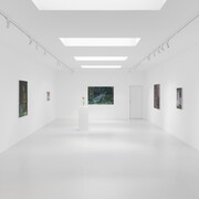Claudia Koh, Soft spot, exhibition view. Courtesy of Super Dakota