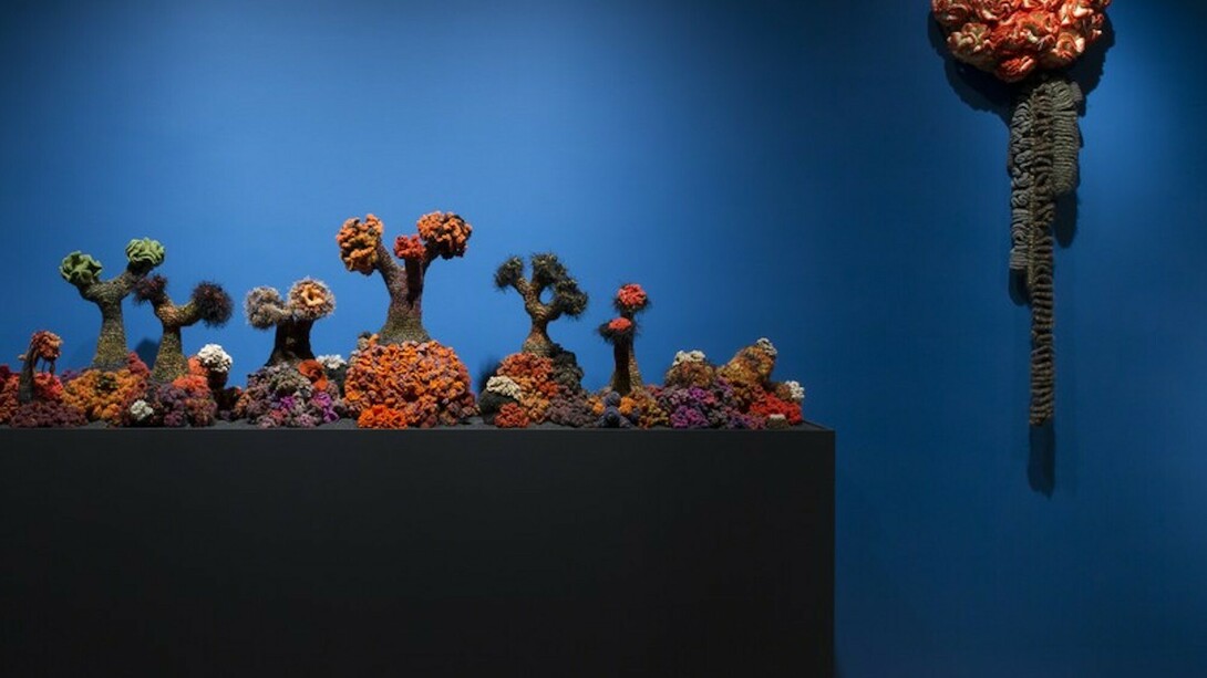 Crochet Coral Reef: Toxic Seas By Margaret and Christine Wertheim and the Institute For Figuring. Courtesy of The Museum of Arts and Design