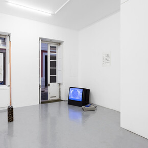 Toucan Watch. Courtesy of Galeria Madragoa